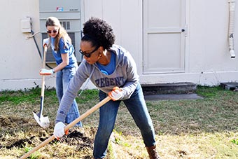 Student volunteers at work.